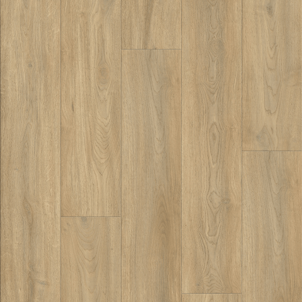 AP6502 Suva_OC