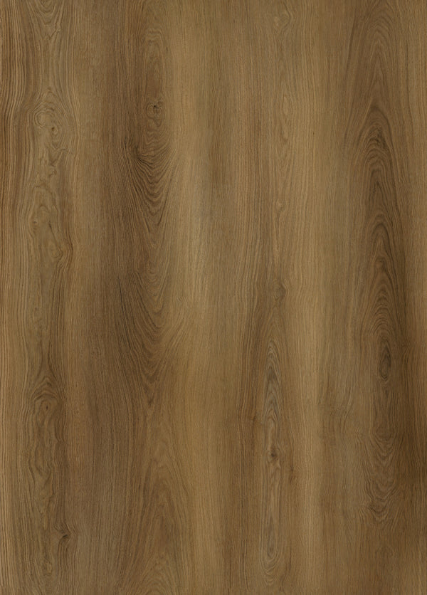 AP7005 Mesa_OC