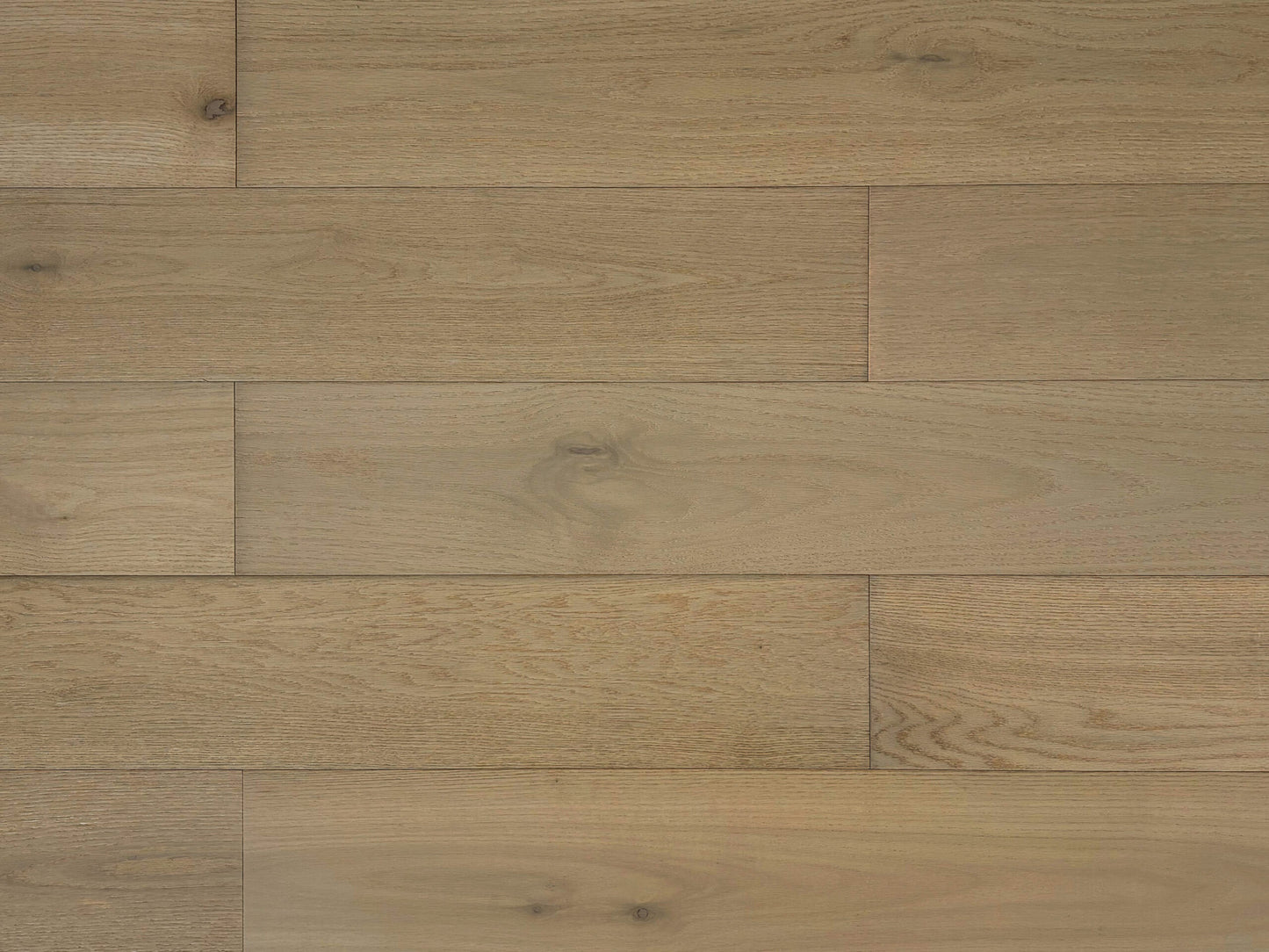 Oak Glow_VF