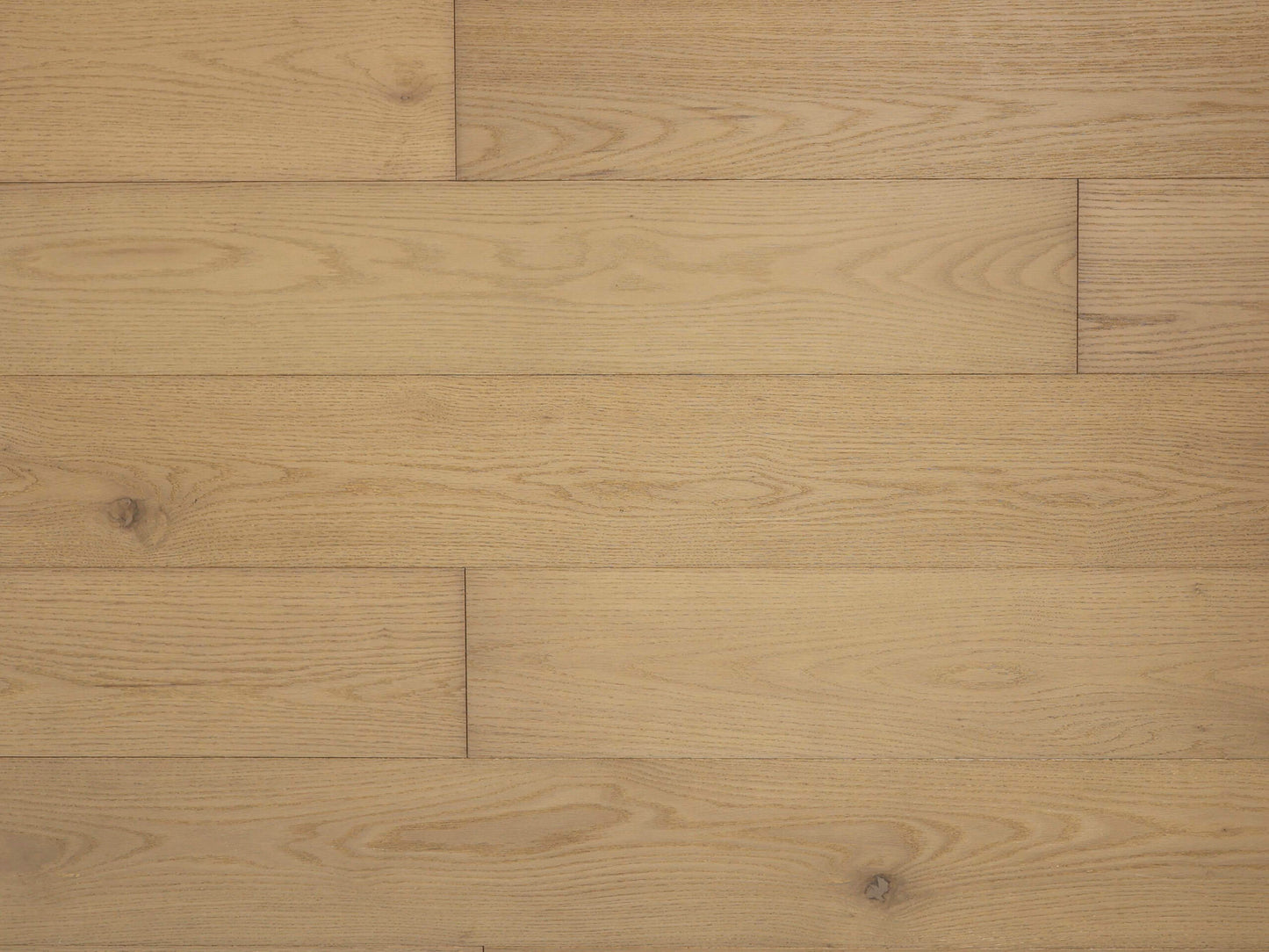 Oak Nova_VF