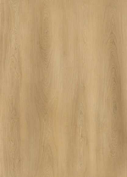 AP5502 Sutton_OC