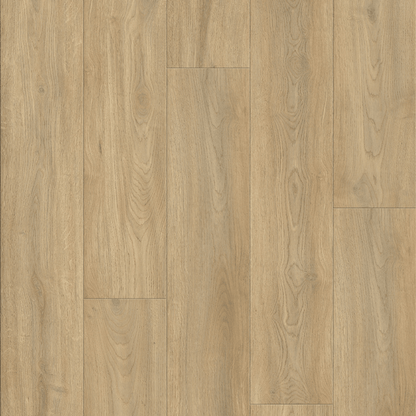 AP6502 Suva_OC