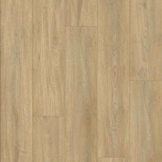 AP6502 Suva_OC