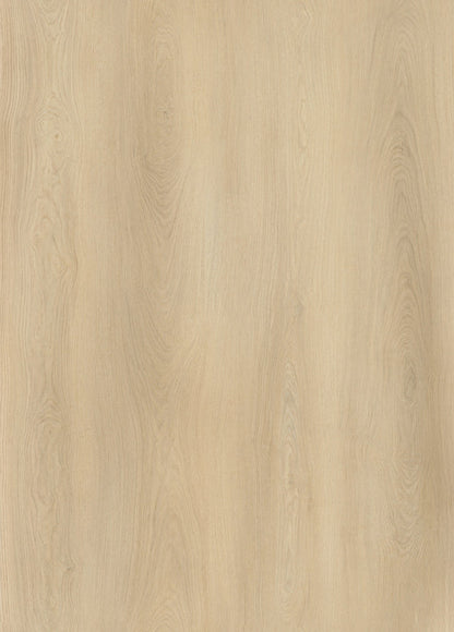 AP7001 Angel_OC
