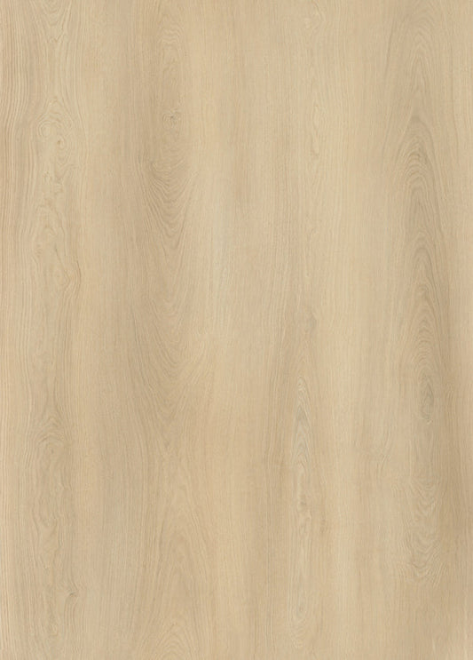 AP7001 Angel_OC