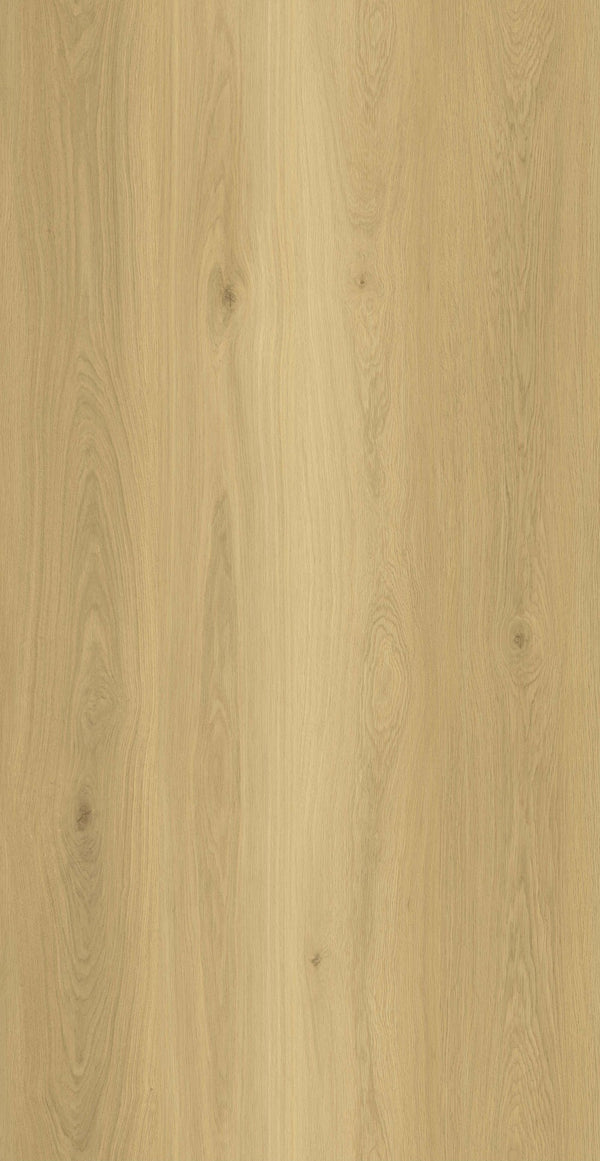 AP7003 Bravos_OC