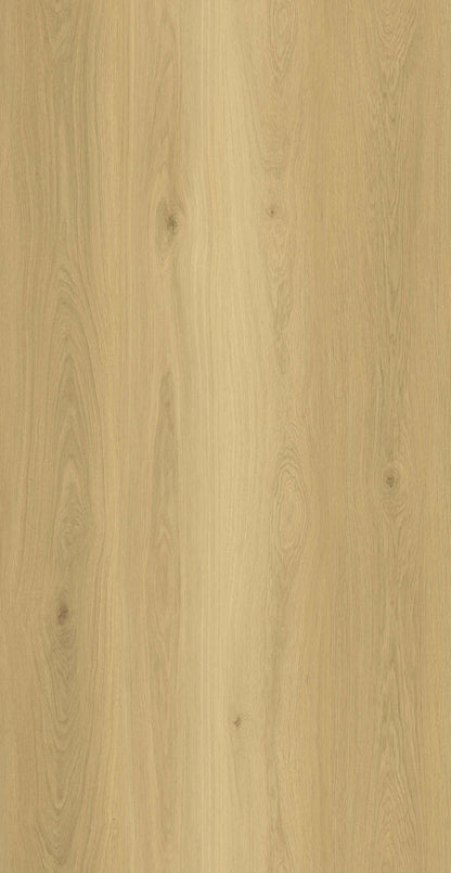 AP7003 Bravos_OC