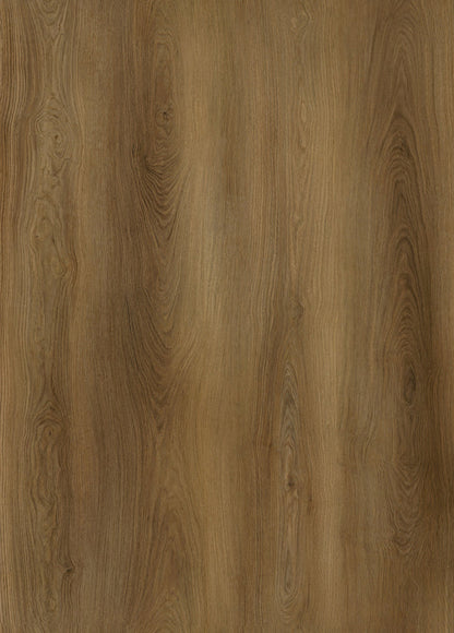 AP7005 Mesa_OC