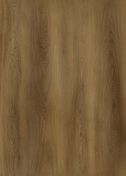 AP7005 Mesa_OC
