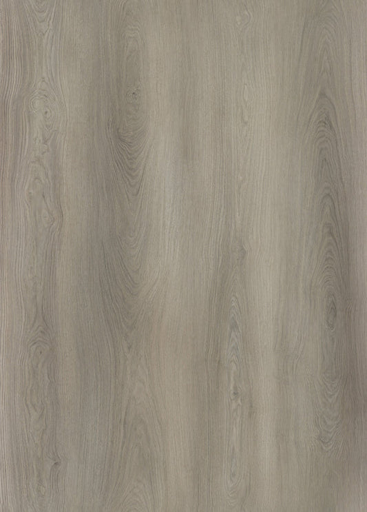AP7009 Cozy Grey_OC