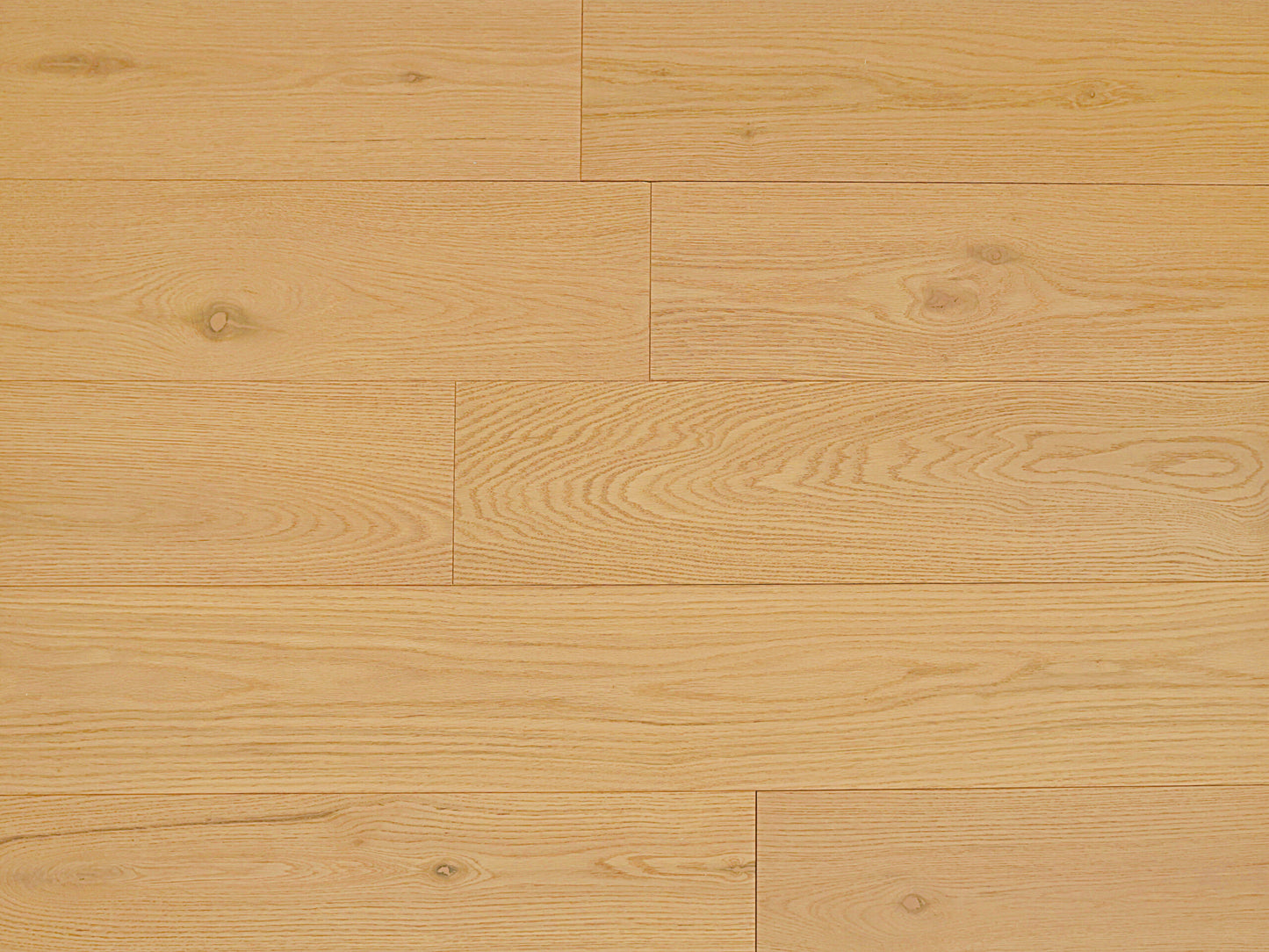 Oak Ferrero_VF