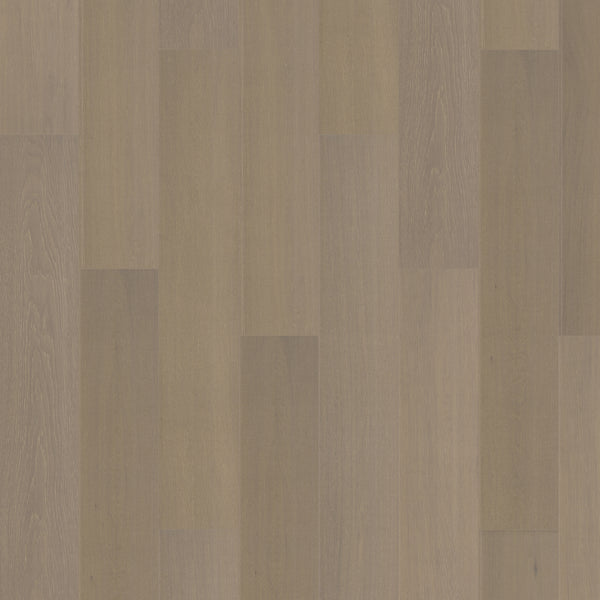 Wheat Berry_OC