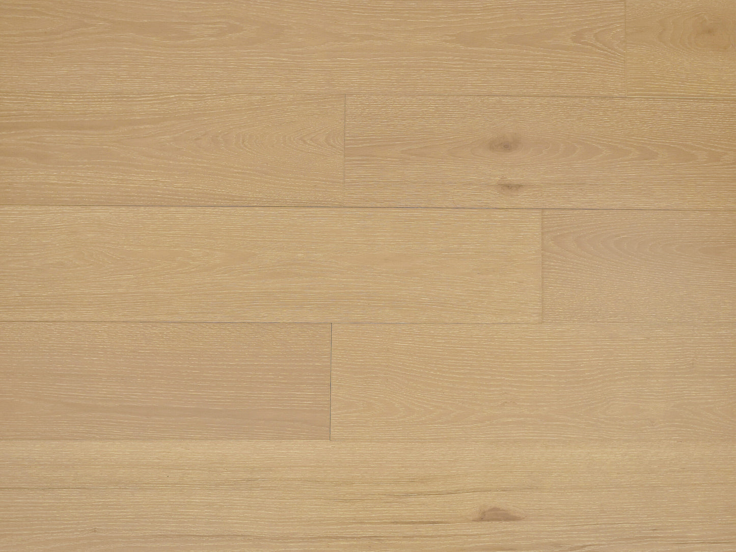 Oak Moonlight_VF